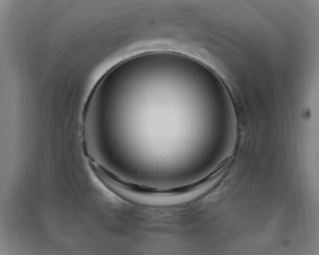 X0000091451527200708161248