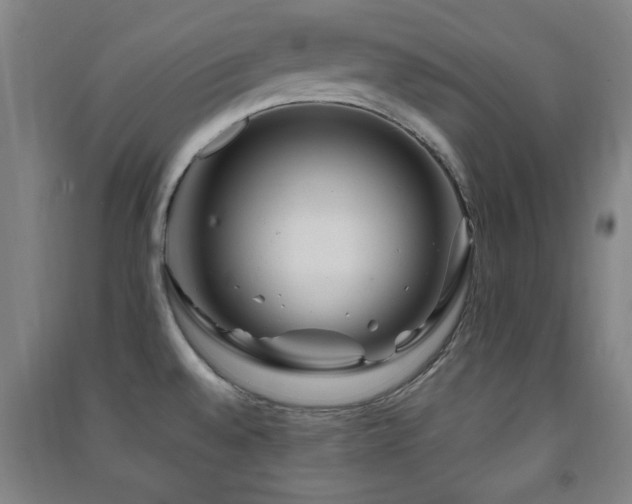 X0000091451528200708161248