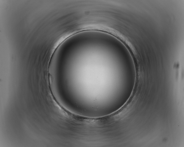 X0000091451529200708161248