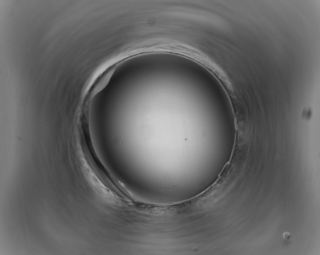 X0000091451530200708161248