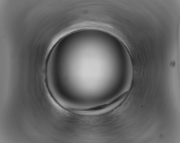 X0000091451531200708161248