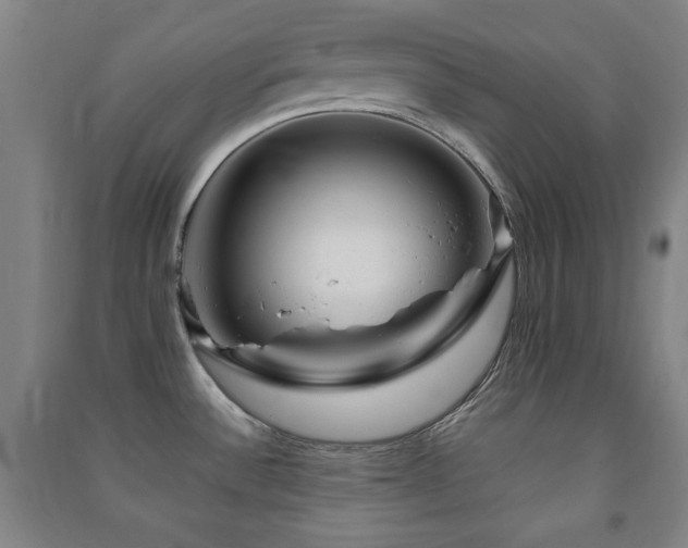 X0000091451532200708161248