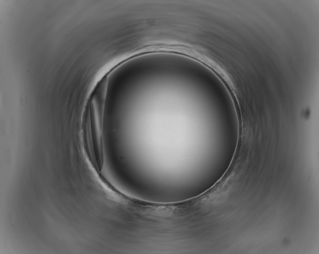 X0000091451533200708161248