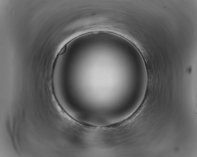 X0000091451534200708161248