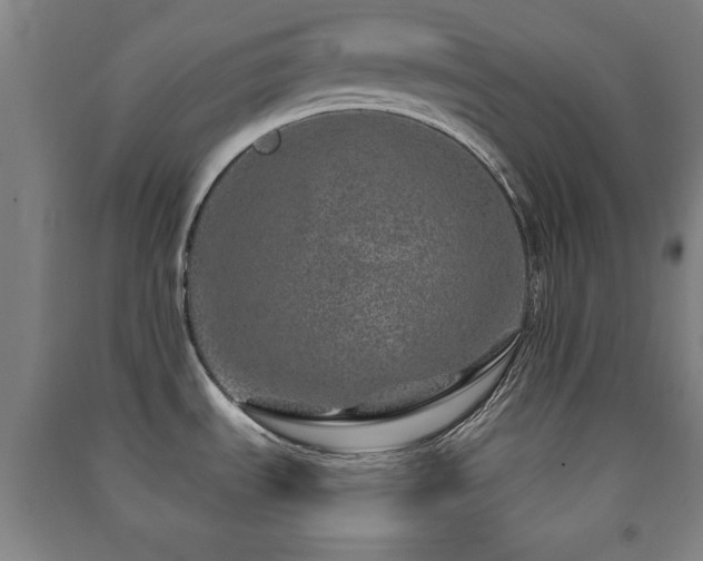 X0000091451535200708161248