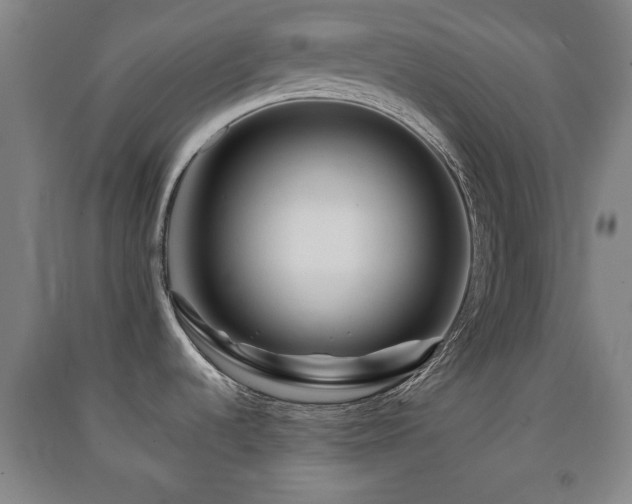 X0000091451536200708161248
