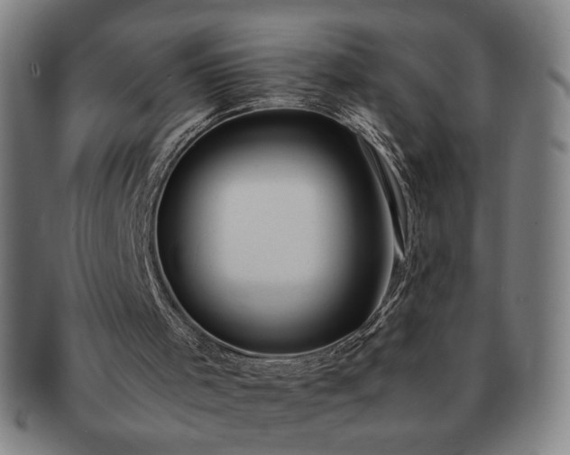X0000091450001200708231305