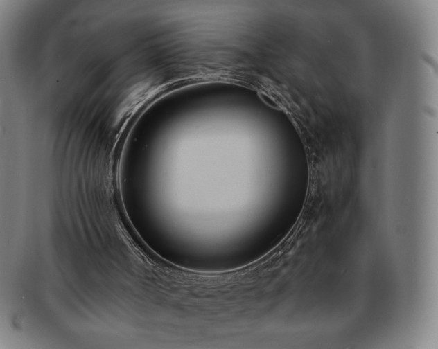 X0000091450002200708231305