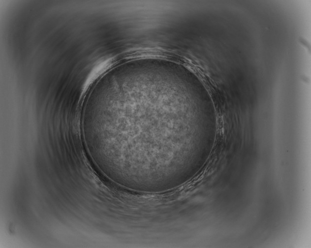 X0000091450004200708231305