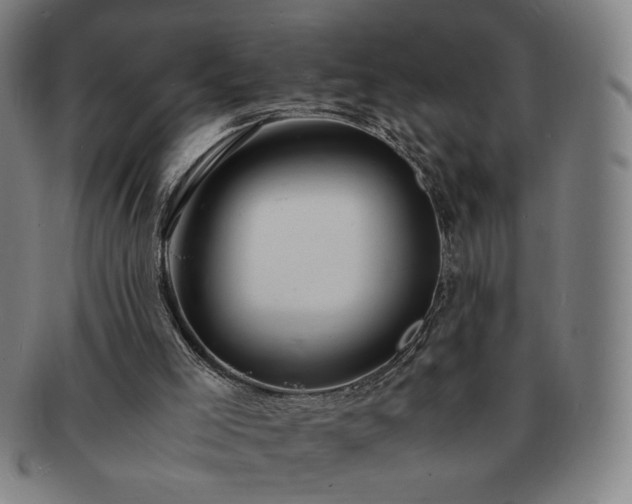 X0000091450005200708231305