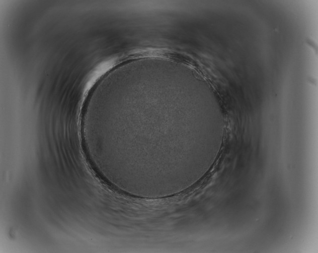 X0000091450006200708231305