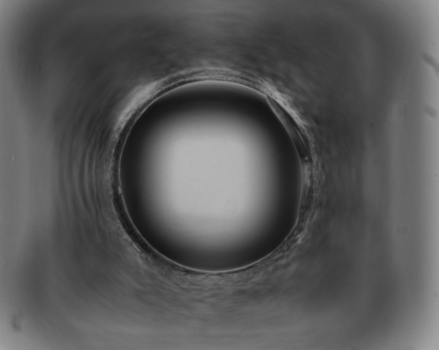 X0000091450007200708231305