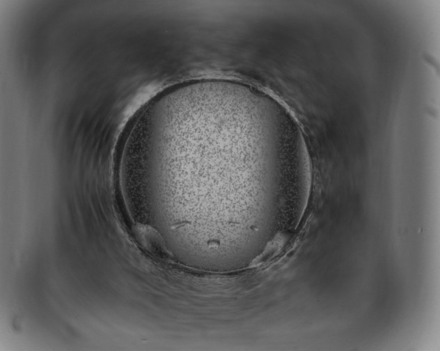 X0000091450008200708231305