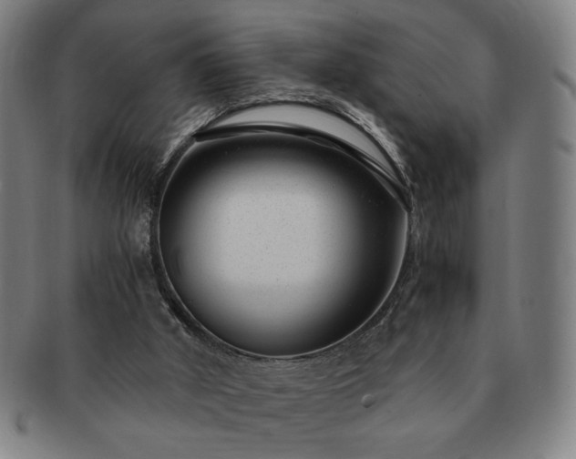 X0000091450010200708231305
