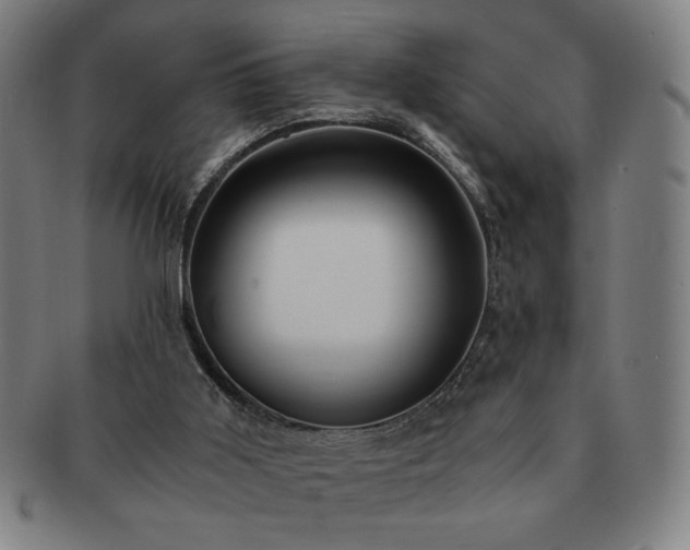 X0000091450011200708231305