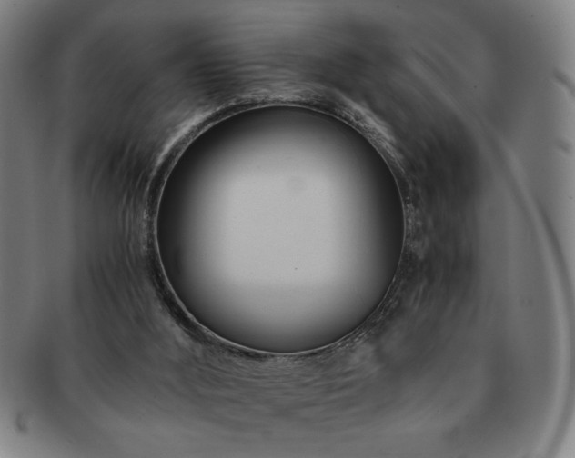 X0000091450012200708231305