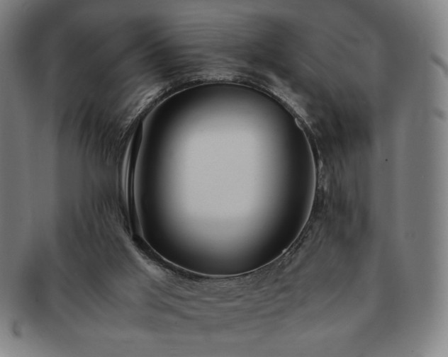 X0000091450013200708231305