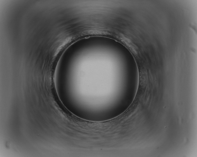 X0000091450015200708231305