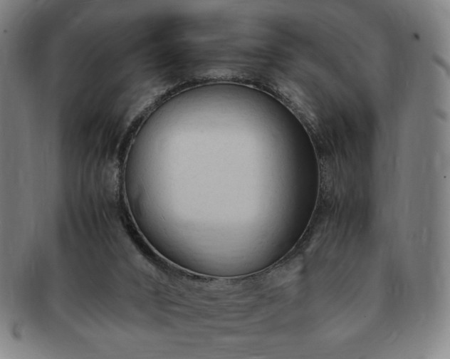 X0000091450016200708231305