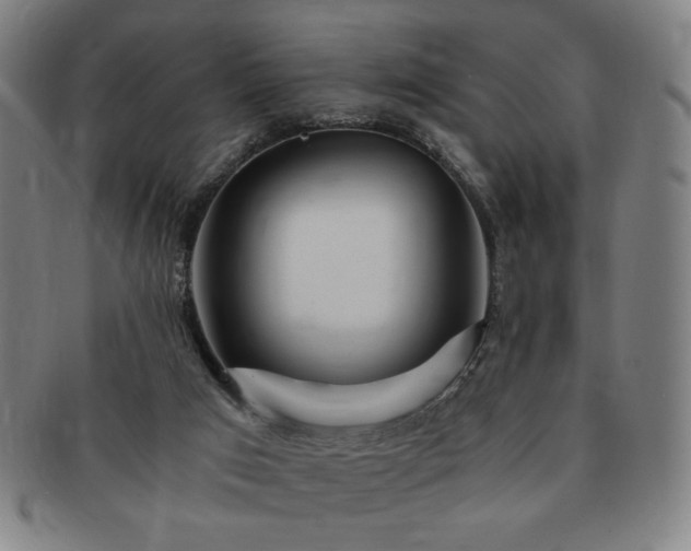 X0000091450017200708231305