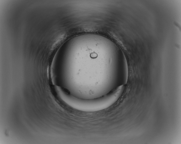 X0000091450019200708231305