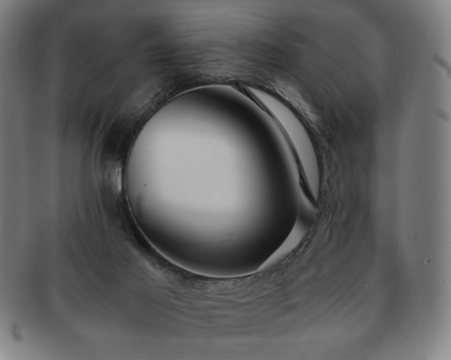 X0000091450021200708231305