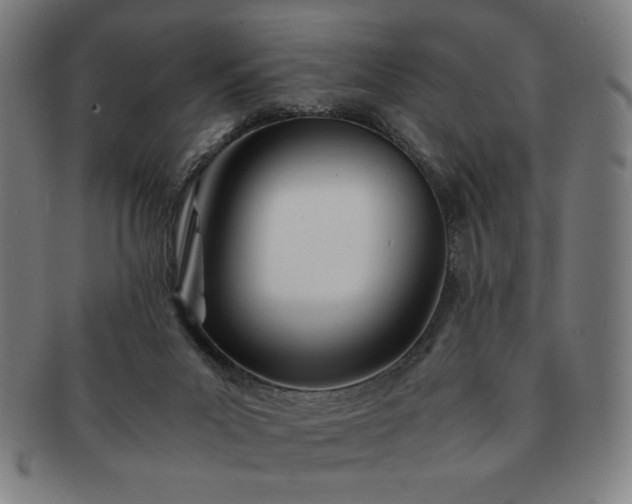 X0000091450023200708231305