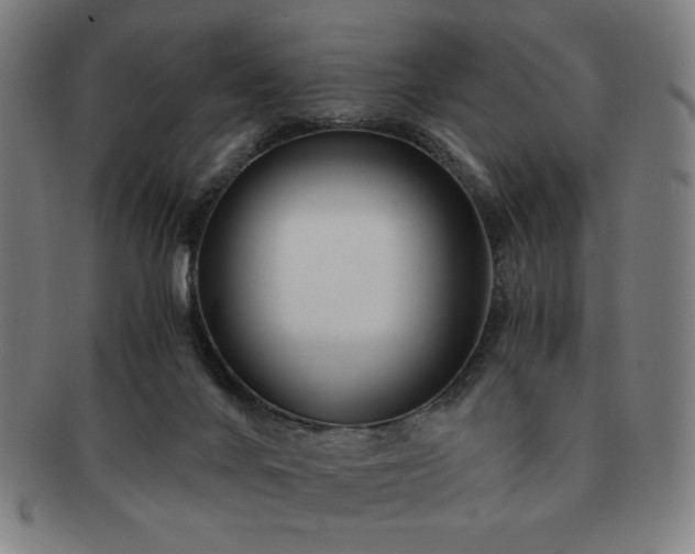 X0000091450024200708231305