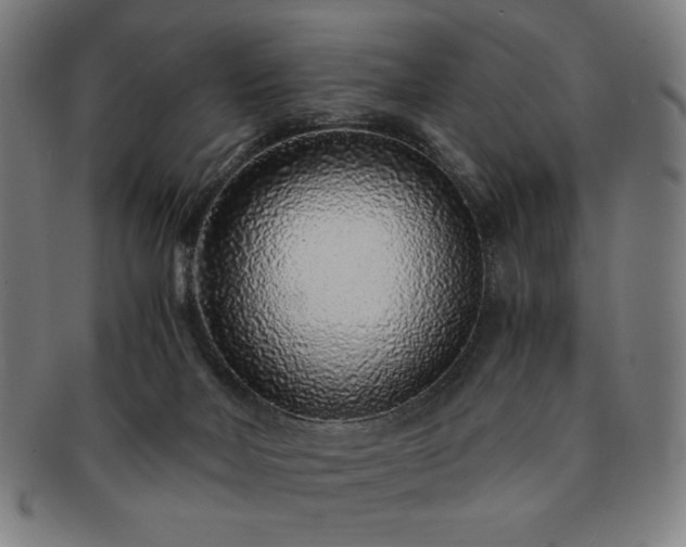 X0000091450026200708231305