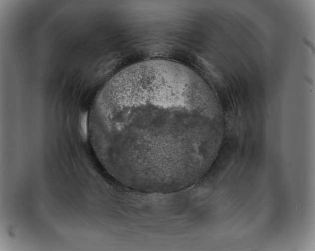 X0000091450028200708231305