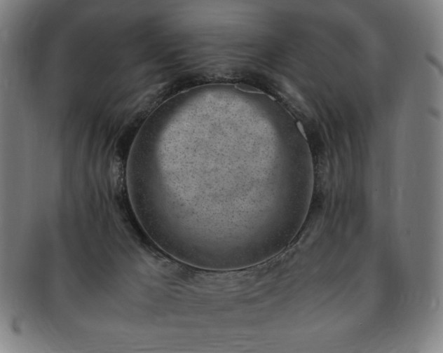 X0000091450029200708231305