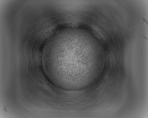 X0000091450030200708231305