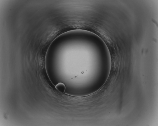 X0000091450031200708231305