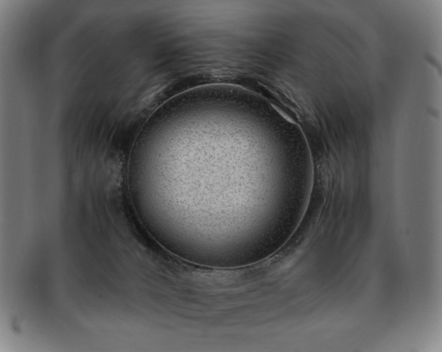 X0000091450032200708231305