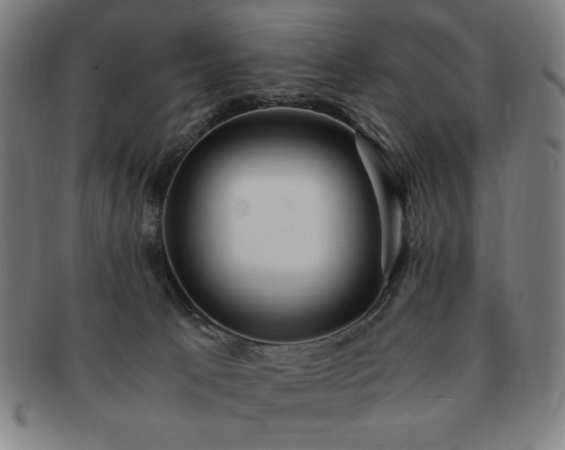 X0000091450033200708231305