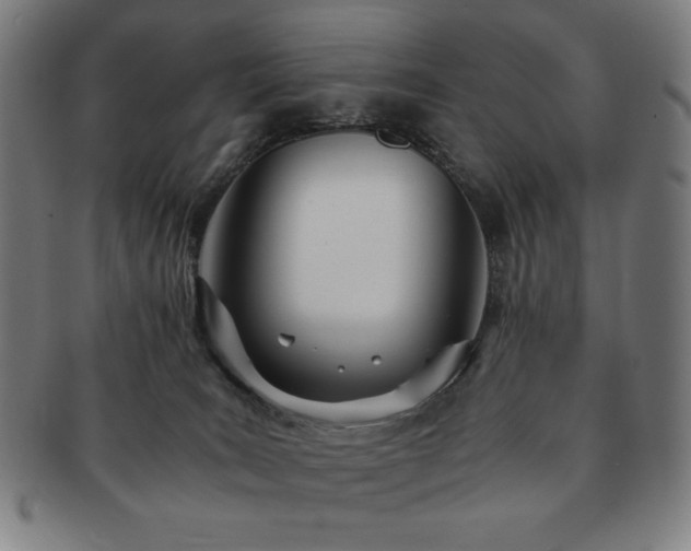 X0000091450035200708231305