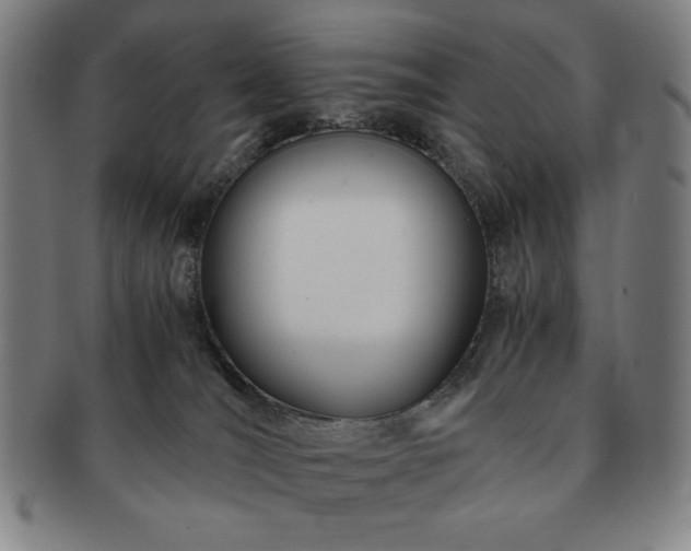 X0000091450036200708231305