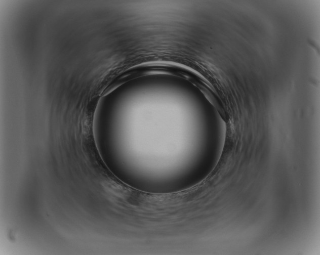 X0000091450037200708231305