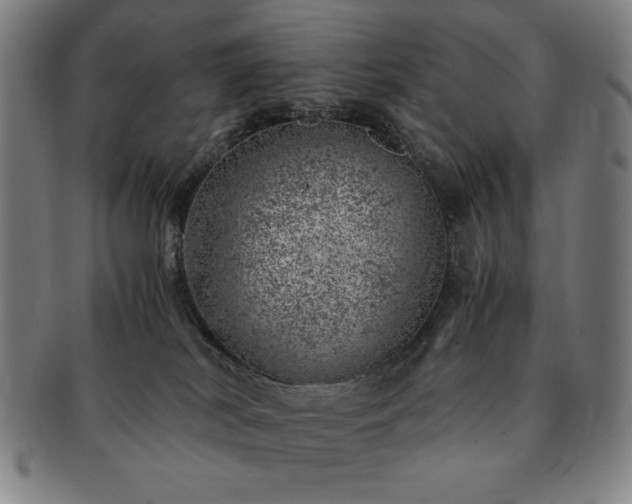 X0000091450038200708231305