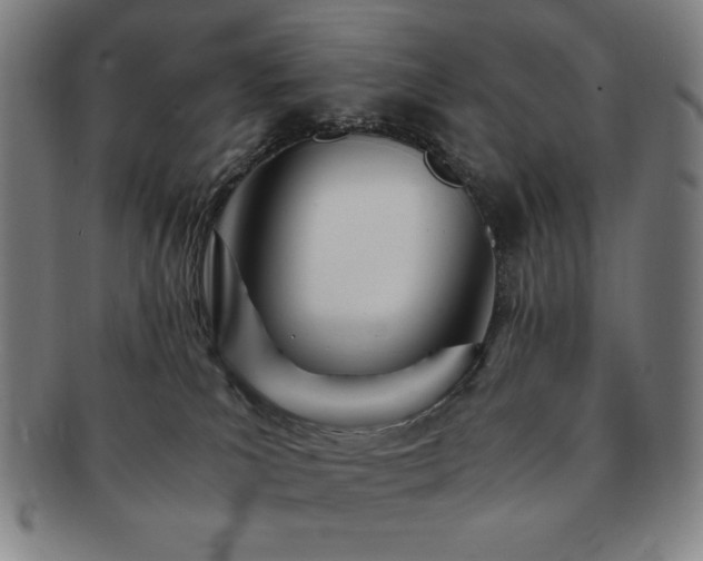 X0000091450039200708231305