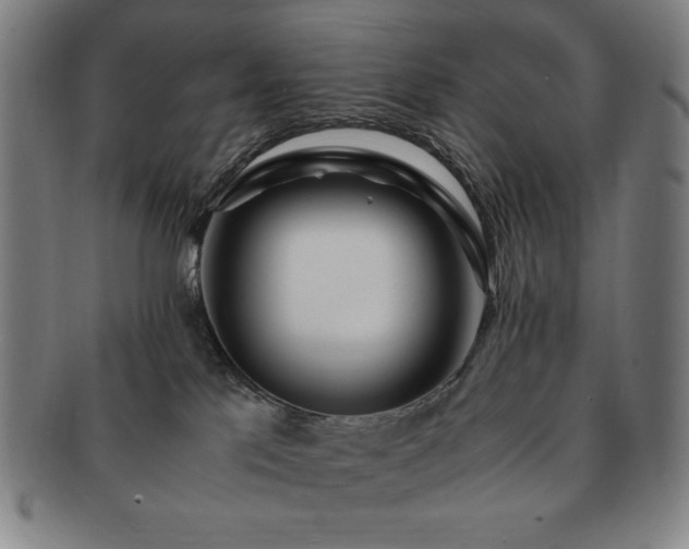X0000091450041200708231304