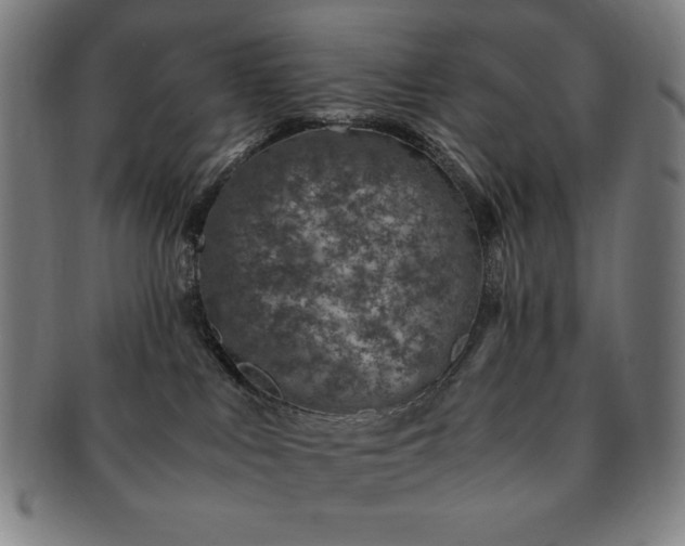 X0000091450043200708231304