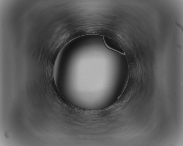 X0000091450044200708231304