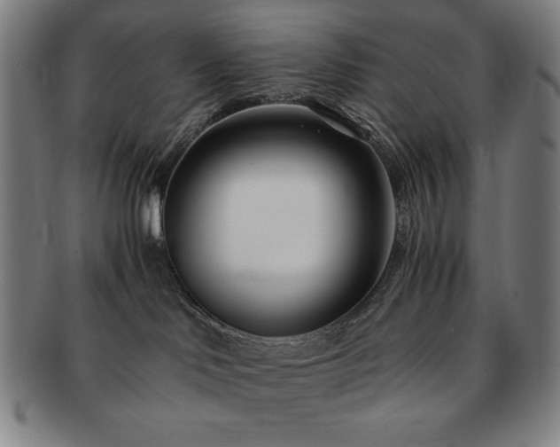 X0000091450046200708231304
