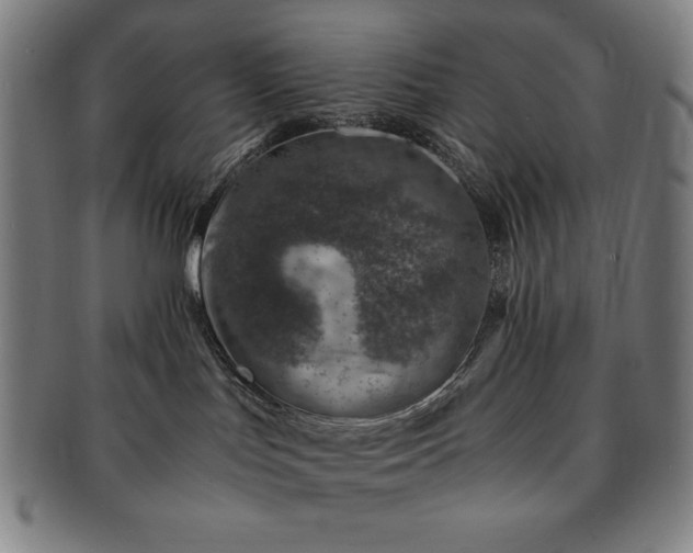 X0000091450047200708231304