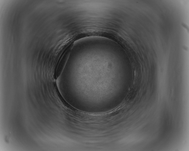 X0000091450048200708231304