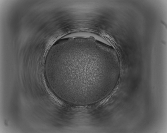X0000091450049200708231304