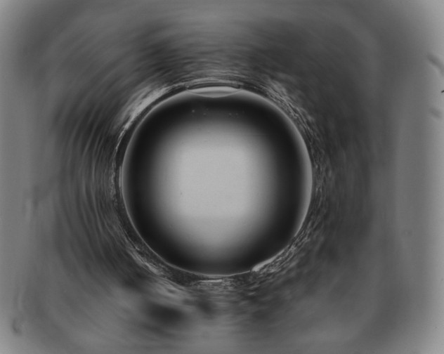 X0000091450050200708231304
