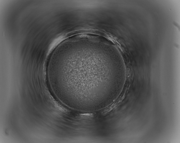 X0000091450053200708231304