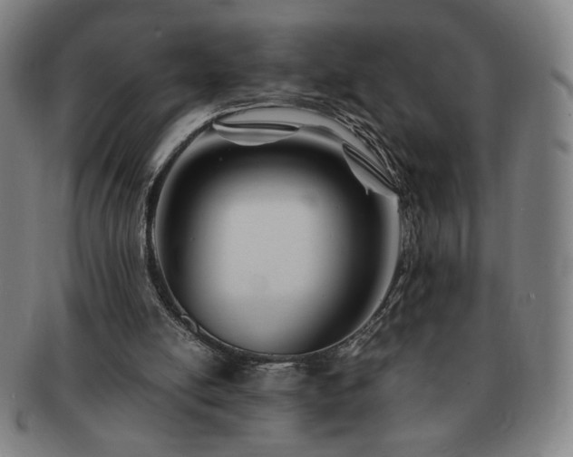 X0000091450054200708231304
